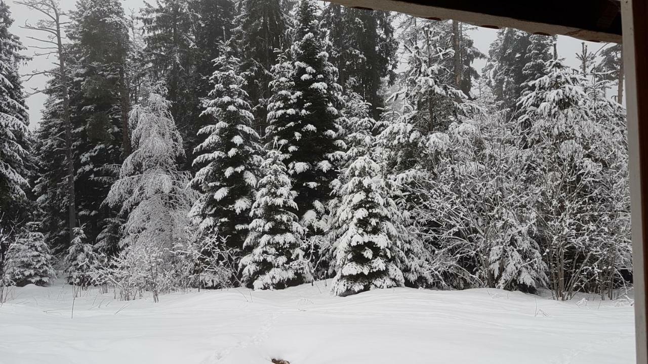 Chalet Taffski Borovets Exterior foto